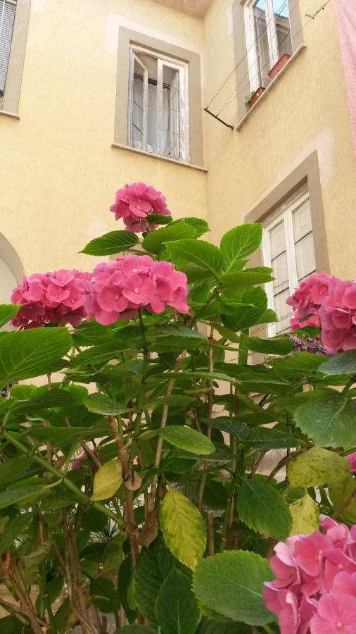 Casa Girasole Villa San Giorgio a Cremano Eksteriør billede